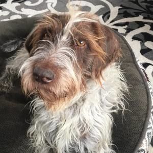 Meet your Posher, Darin